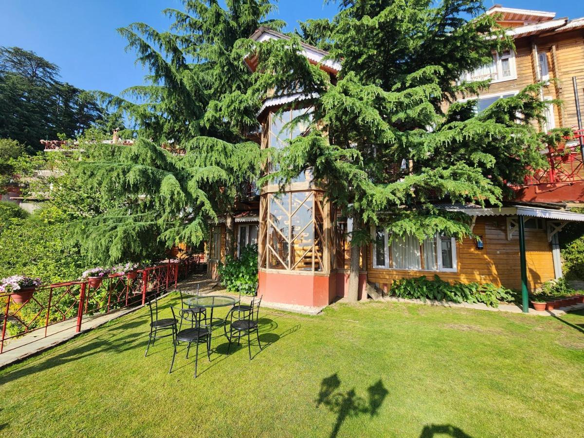 The Chalets Naldehra 西姆拉 外观 照片