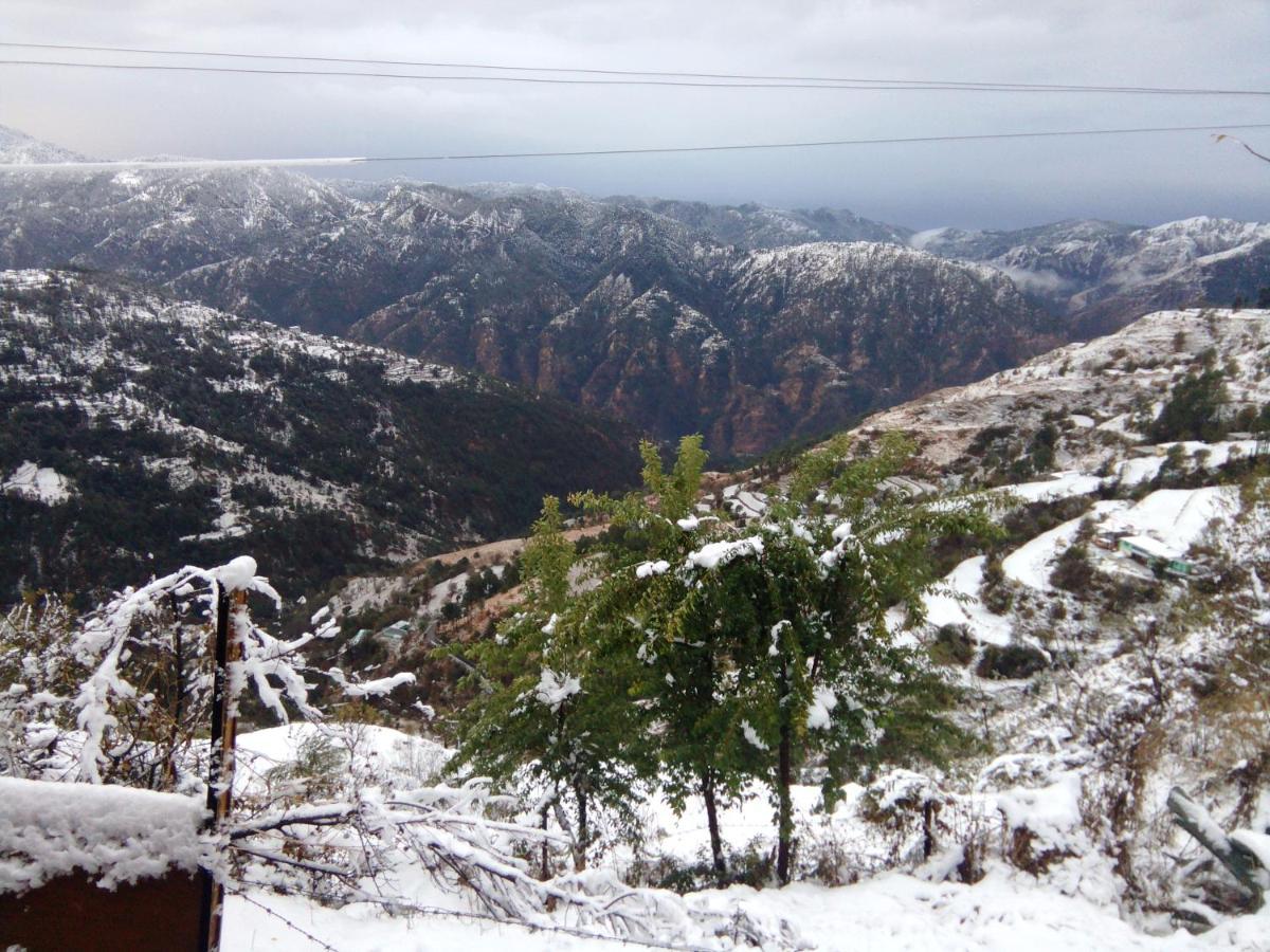 The Chalets Naldehra 西姆拉 外观 照片